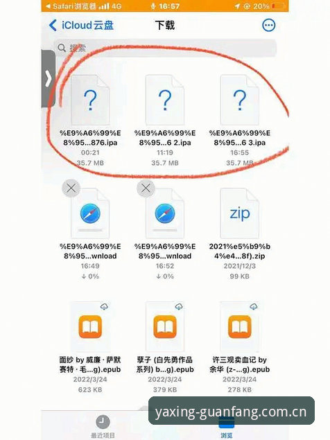 揭秘亚星下载安装攻略：官方正版渠道背后的技术细节与操作真相